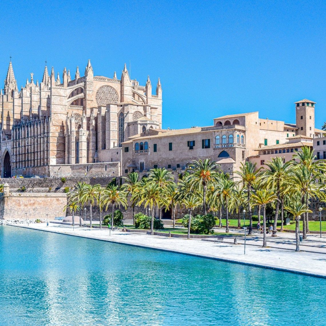 Palma